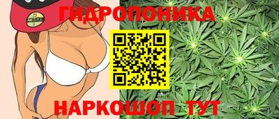 метадон Заволжье