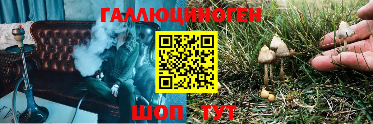 Псилоцибиновые грибы Psilocybine cubensis Лыткарино